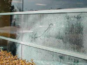 Commercial office building window with hard water build up due to a sprinkler.